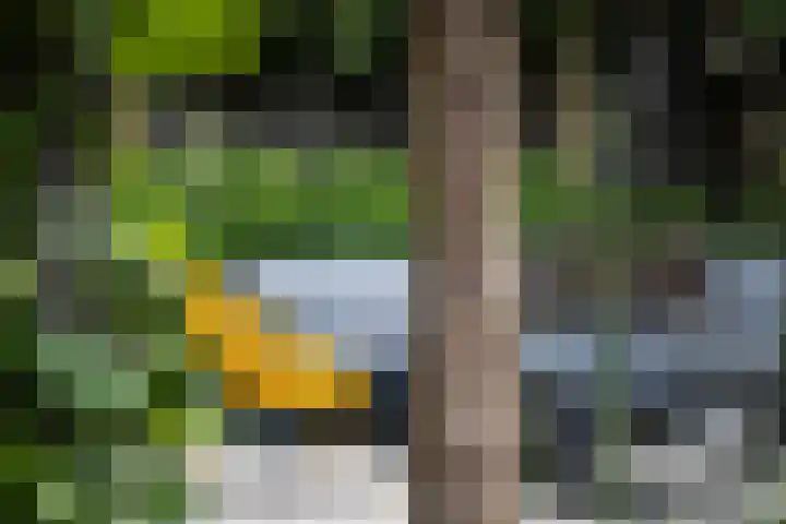 Witbrantlaan West 33 Tilburg thumbnail 31