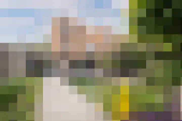 Witbrantlaan West 33 Tilburg thumbnail 32