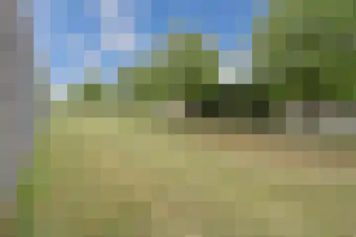 Witbrantlaan West 33 Tilburg thumbnail 33