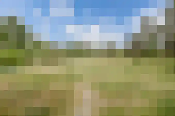Witbrantlaan West 33 Tilburg thumbnail 34