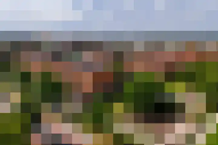 Witbrantlaan West 33 Tilburg thumbnail 39