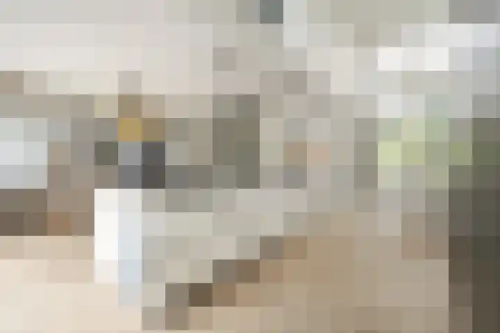 Witbrantlaan West 33 Tilburg thumbnail 4