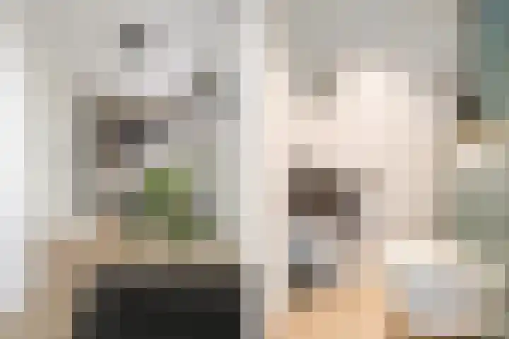 Witbrantlaan West 33 Tilburg thumbnail 6