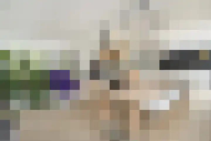 Witbrantlaan West 33 Tilburg thumbnail 9