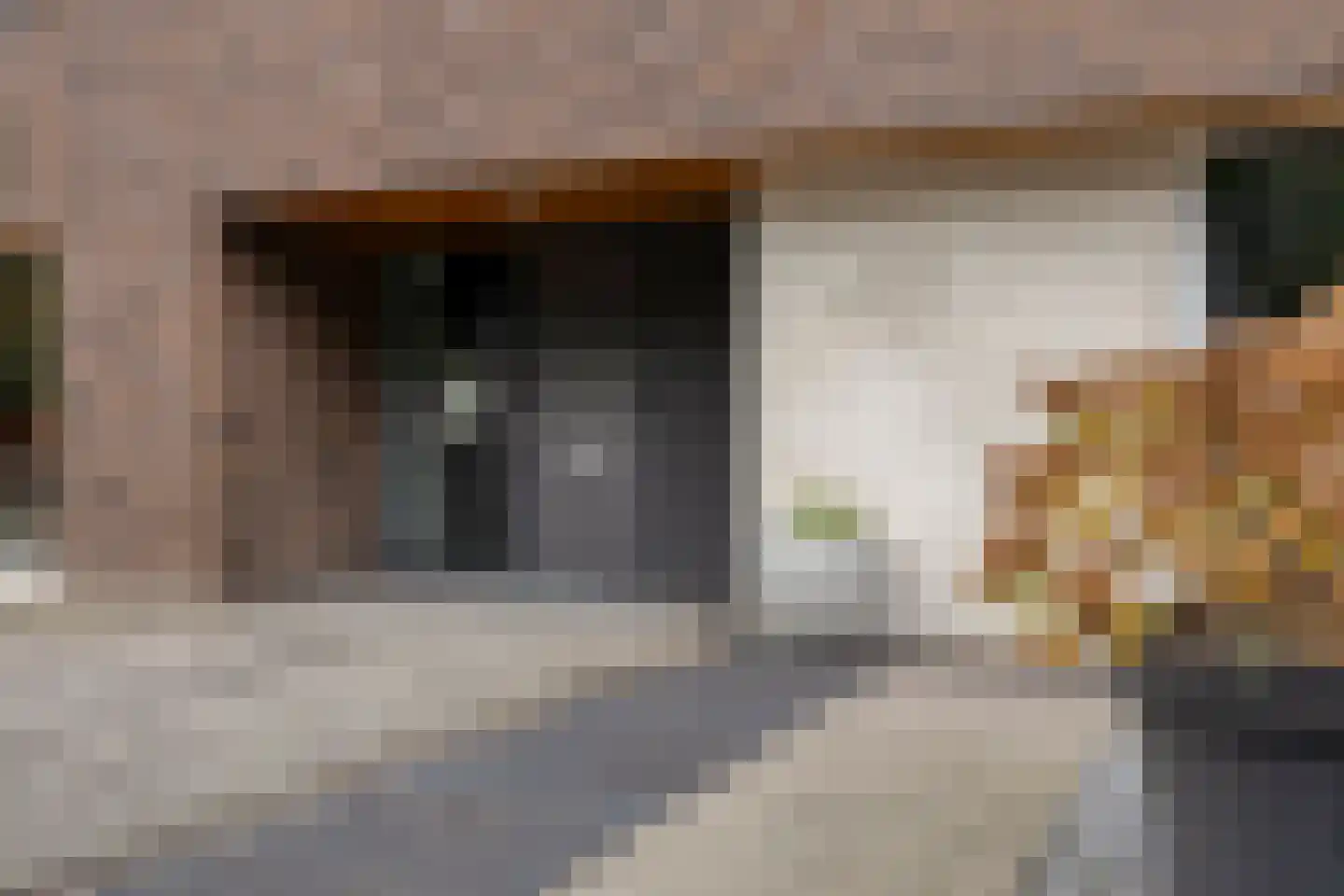 Witbrantlaan West 49 Tilburg thumbnail 15