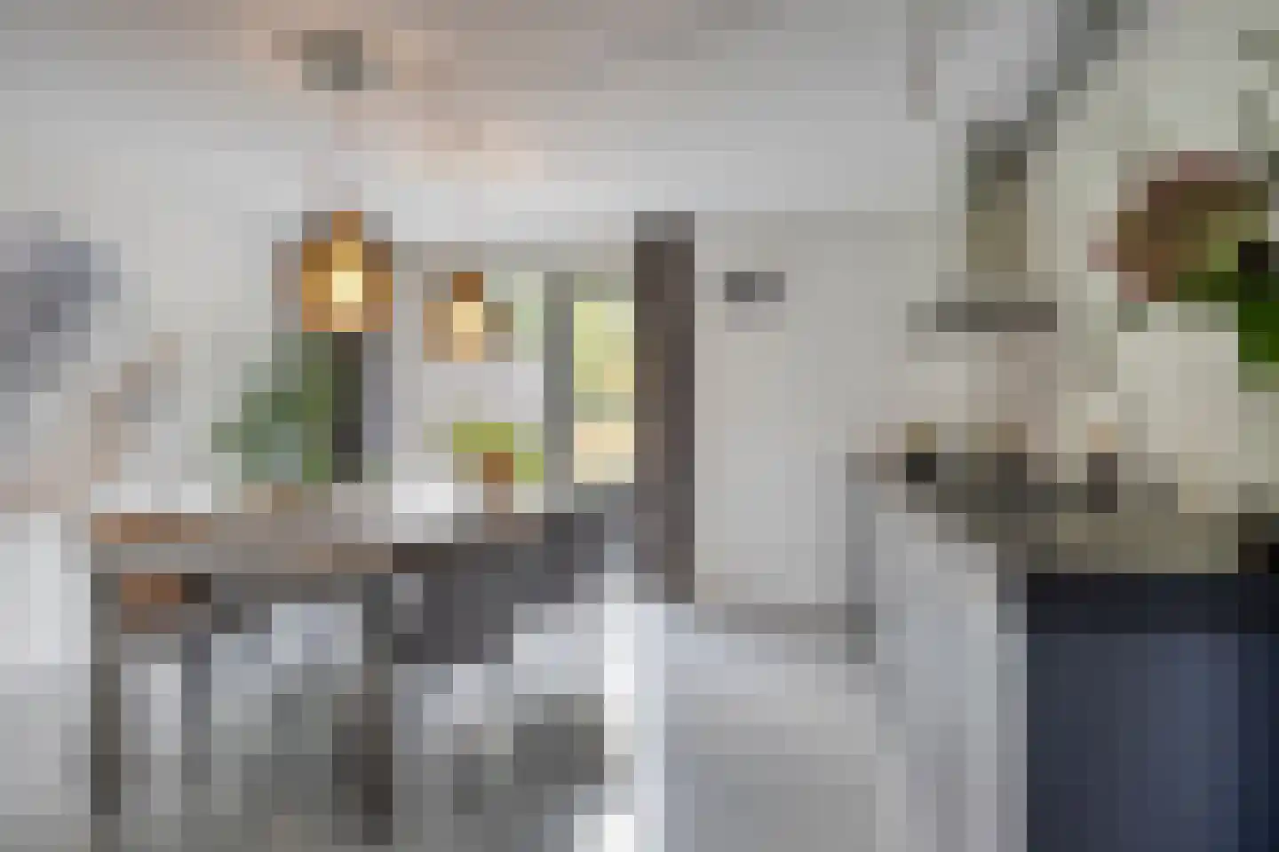 Witbrantlaan West 49 Tilburg thumbnail 29