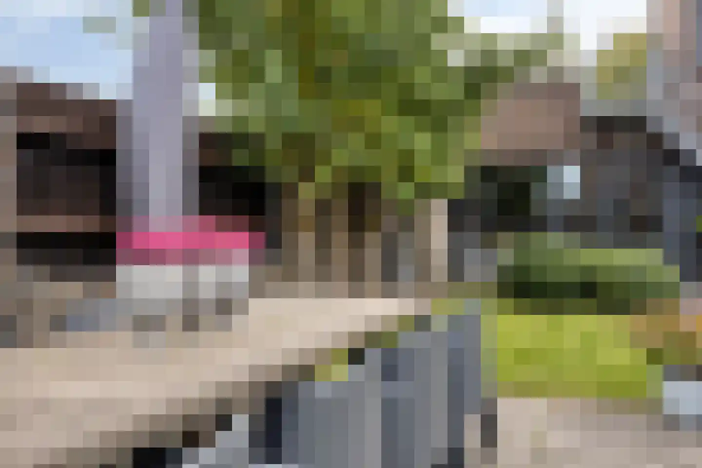 Witbrantlaan West 49 Tilburg thumbnail 65
