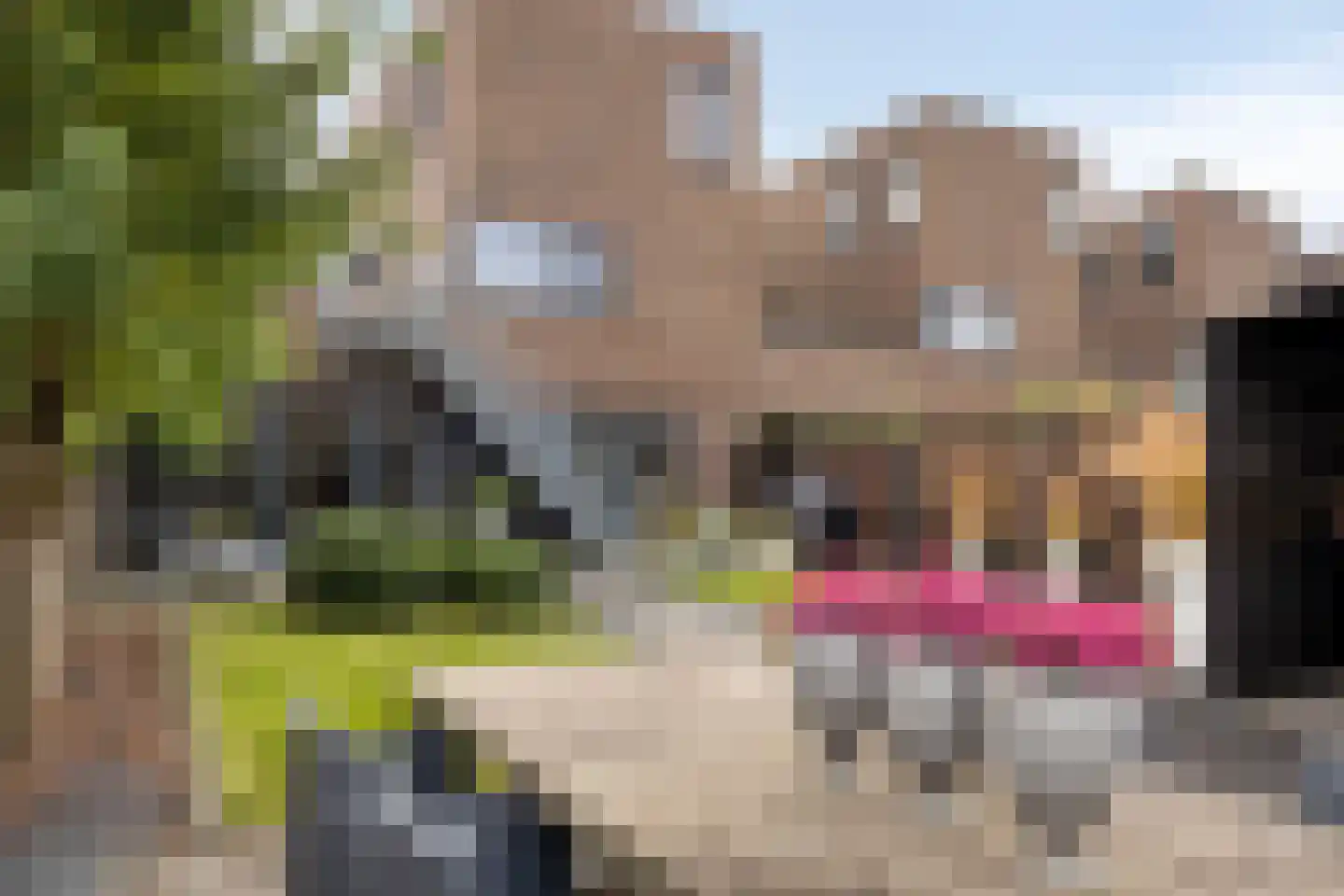 Witbrantlaan West 49 Tilburg thumbnail 66