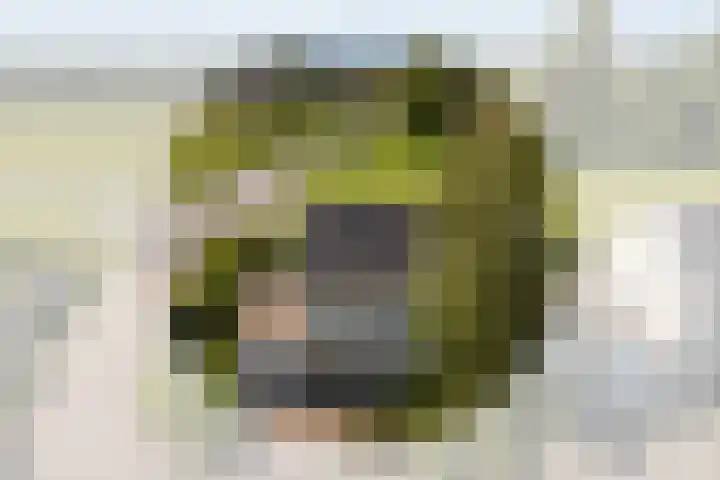 Wite Finne 1 Goutum
