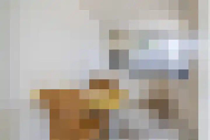 Wite Finne 1 Goutum thumbnail 10