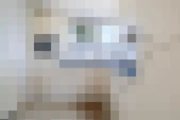 Wite Finne 1 Goutum thumbnail 11