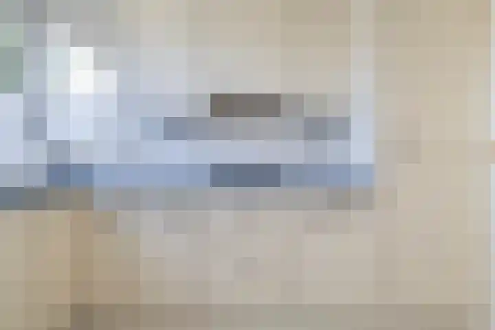 Wite Finne 1 Goutum thumbnail 13