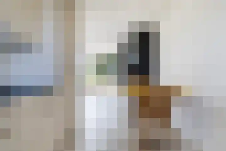 Wite Finne 1 Goutum thumbnail 14