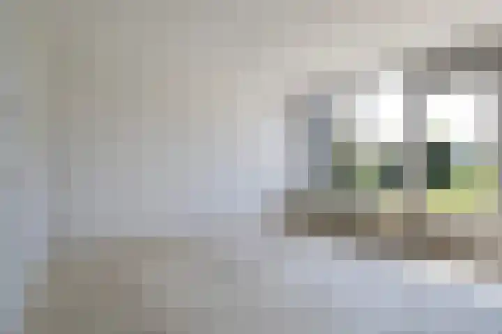 Wite Finne 1 Goutum thumbnail 15