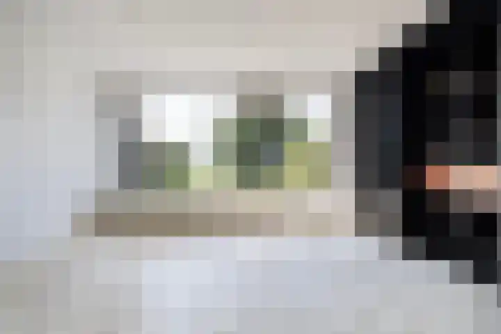 Wite Finne 1 Goutum foto 2