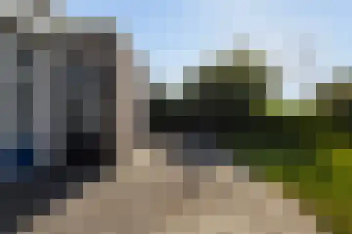 Wite Finne 1 Goutum thumbnail 21