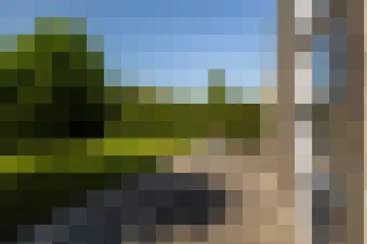 Wite Finne 1 Goutum thumbnail 23