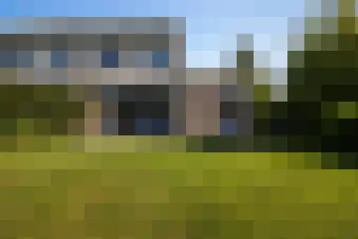 Wite Finne 1 Goutum thumbnail 24