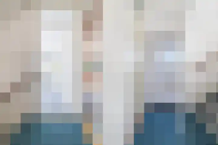 Wite Finne 1 Goutum thumbnail 25