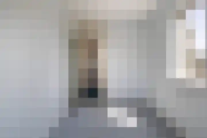 Wite Finne 1 Goutum thumbnail 27