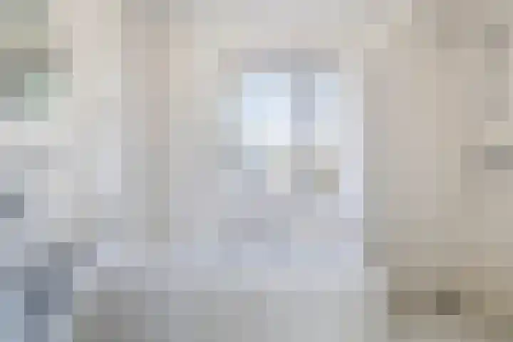 Wite Finne 1 Goutum foto 3