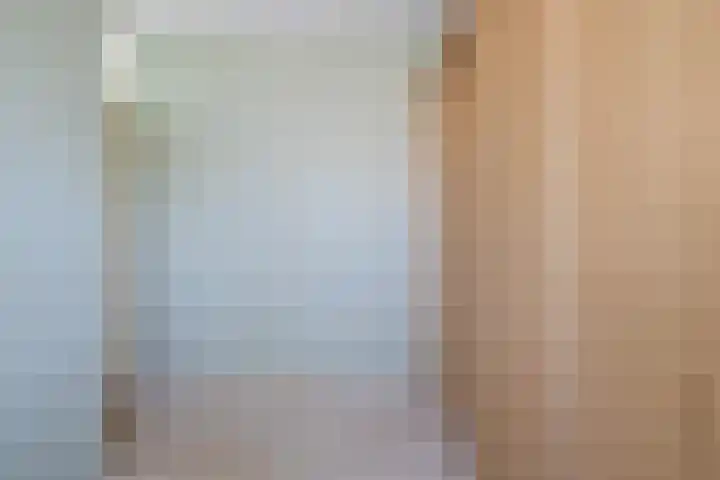 Wite Finne 1 Goutum thumbnail 31