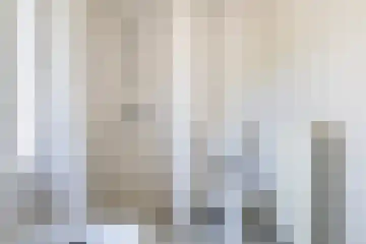Wite Finne 1 Goutum thumbnail 33