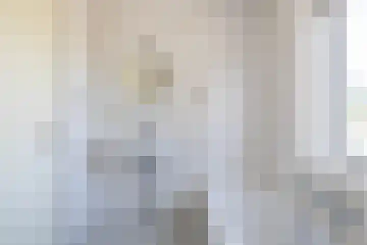 Wite Finne 1 Goutum thumbnail 34