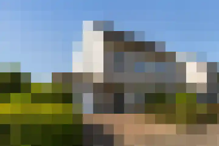 Wite Finne 1 Goutum thumbnail 39
