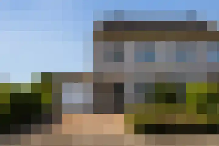 Wite Finne 1 Goutum thumbnail 40