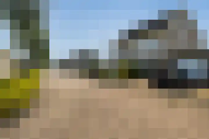 Wite Finne 1 Goutum thumbnail 41
