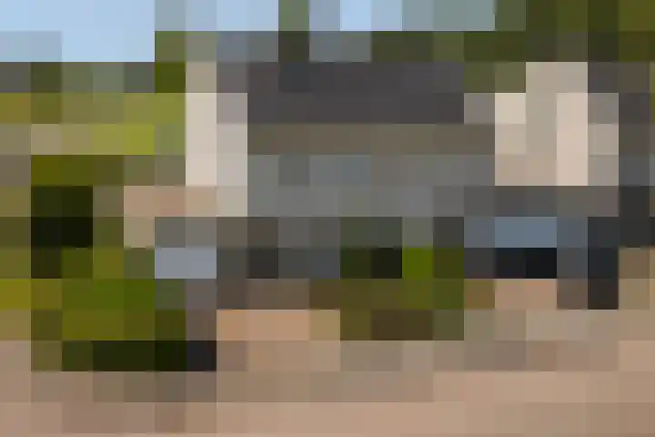 Wite Finne 1 Goutum thumbnail 45