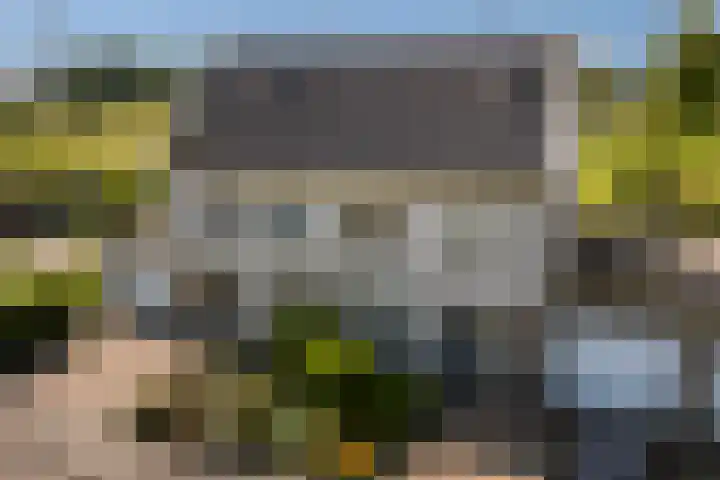 Wite Finne 1 Goutum thumbnail 46
