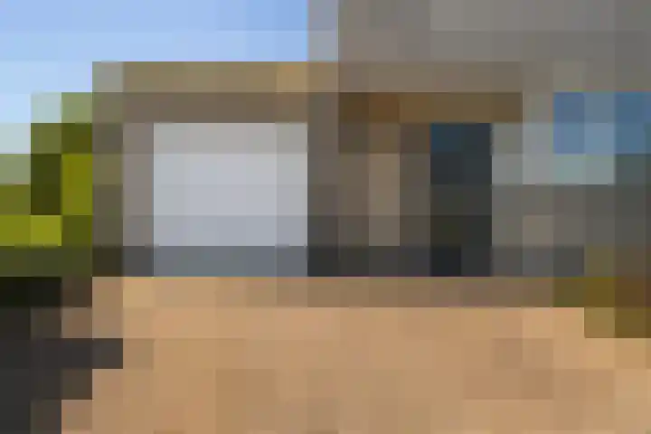 Wite Finne 1 Goutum thumbnail 5