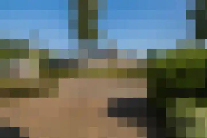 Wite Finne 1 Goutum thumbnail 6