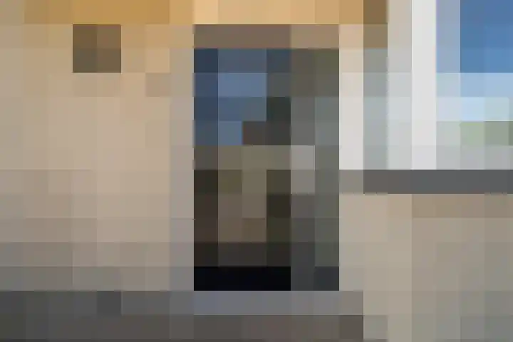 Wite Finne 1 Goutum thumbnail 7