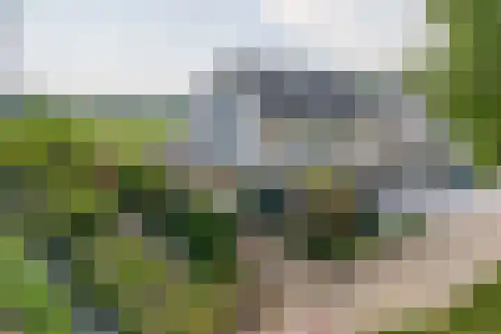 Wite Finne 41 Goutum
