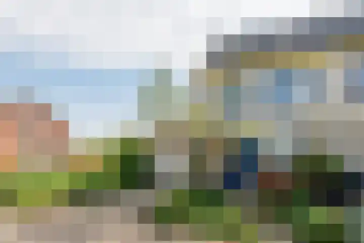 Wite Finne 41 Goutum thumbnail 10