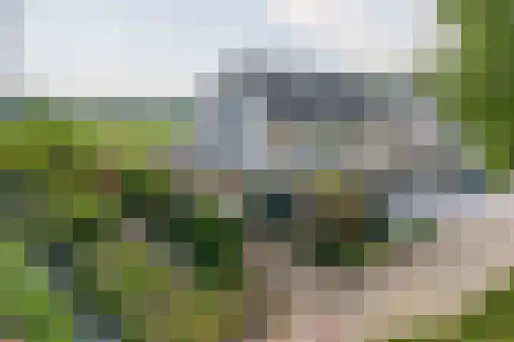 Wite Finne 41 Goutum thumbnail 11