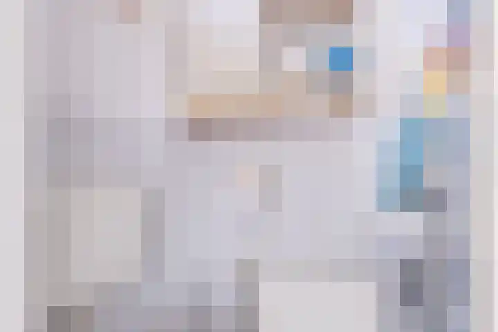 Wite Finne 41 Goutum thumbnail 12