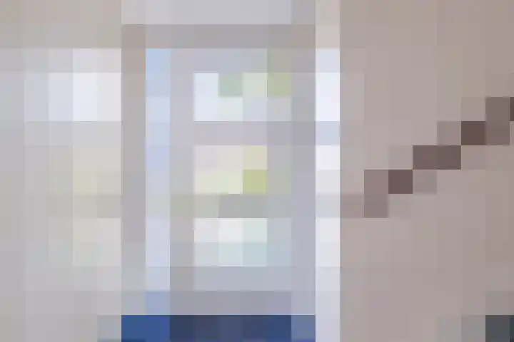 Wite Finne 41 Goutum thumbnail 14