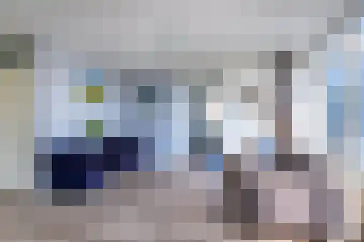 Wite Finne 41 Goutum thumbnail 19