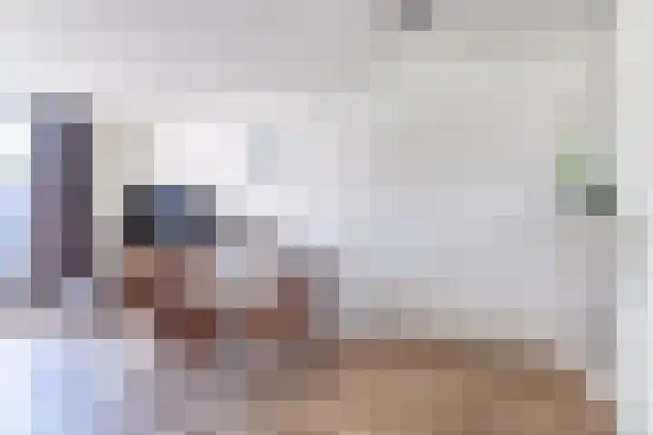 Wite Finne 41 Goutum thumbnail 23