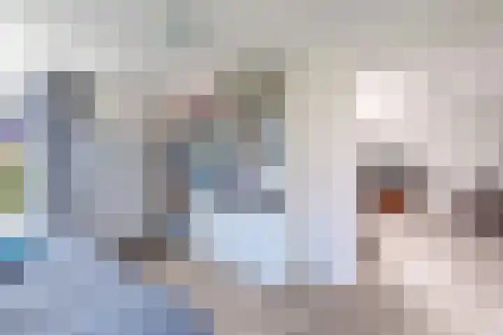 Wite Finne 41 Goutum thumbnail 25