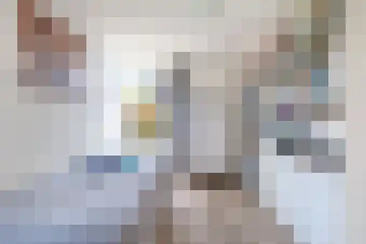 Wite Finne 41 Goutum thumbnail 26