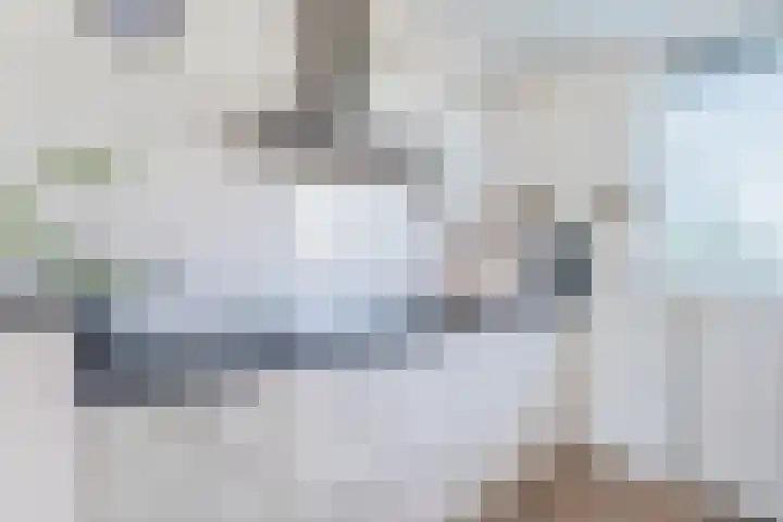 Wite Finne 41 Goutum thumbnail 28