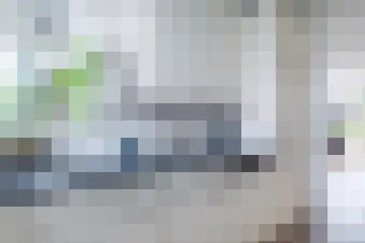 Wite Finne 41 Goutum thumbnail 29