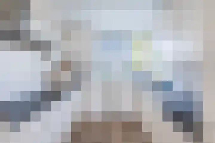 Wite Finne 41 Goutum foto 3
