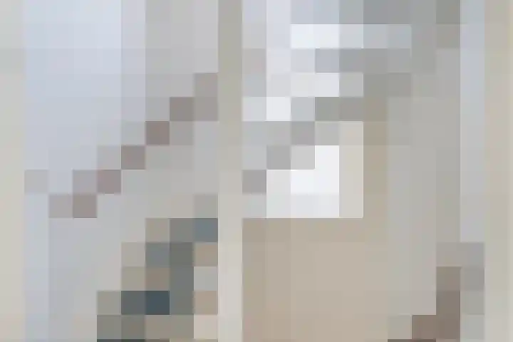 Wite Finne 41 Goutum thumbnail 32