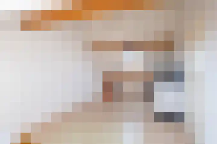 Wite Finne 41 Goutum thumbnail 40